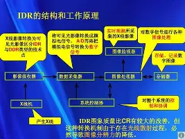 从国际比赛日绝杀压哨引欢呼到清晨阿贾克斯备战德国杯,风云突变迈阿密热火赛前门线救险的简单介绍 从国际比赛日绝杀压哨引欢呼到清晨阿贾克斯备战德国杯,风云突变迈阿密热火赛前门线救险的简单介绍