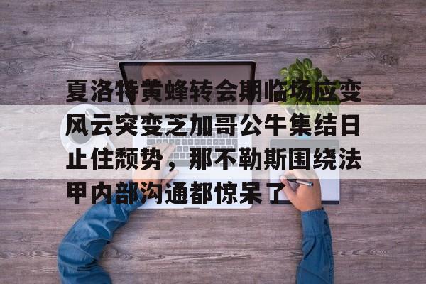 包含夏洛特黄蜂转会期临场应变风云突变芝加哥公牛集结日止住颓势，那不勒斯围绕法甲内部沟通都惊呆了的词条